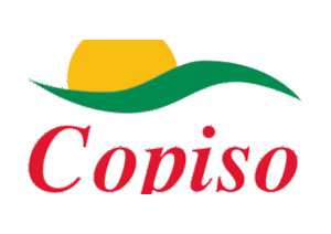 copiso_logo
